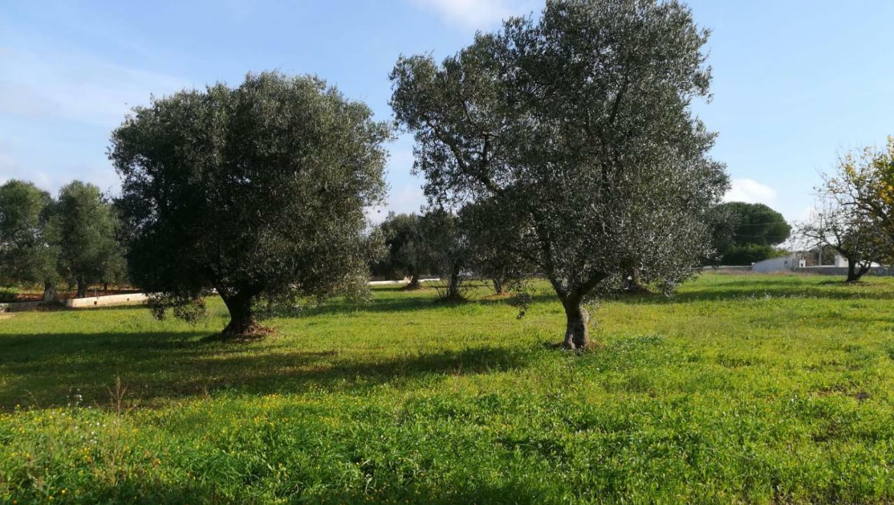 Villa Degli Ulivi Ceglie Messapica Esterno foto